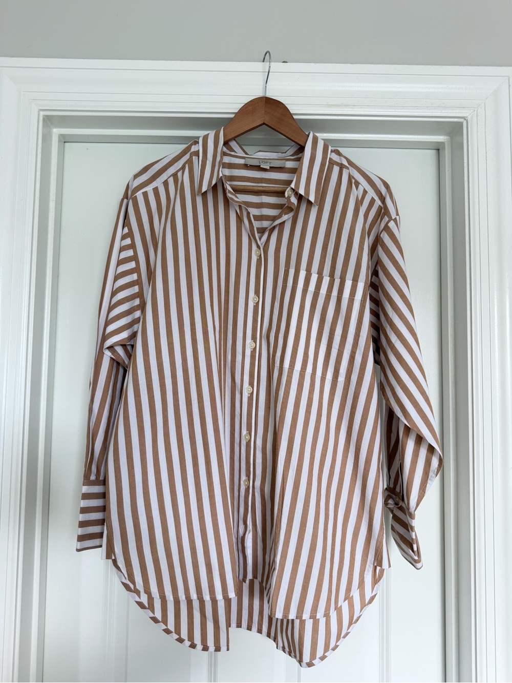 loft button down size medium
